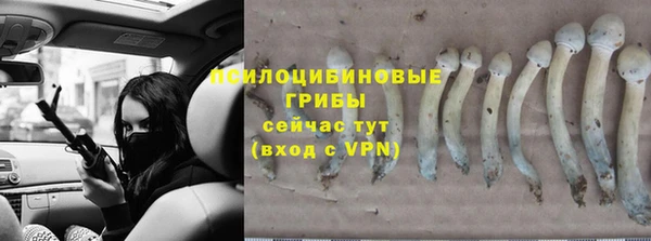 spice Алексеевка